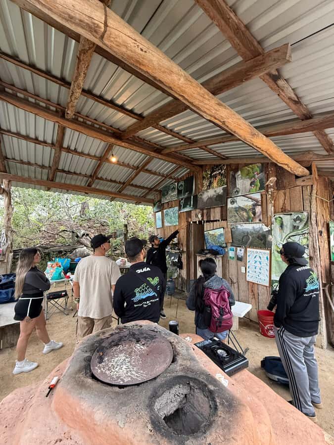 Puerto Vallarta: Guided Tour to the Macaw Sanctuary - A Deep Dive into the Macaw Sanctuary Tour