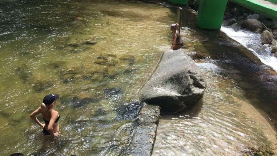 Puerto Vallarta: Predator Zipline & Jungle Adventure - What to Expect and How It Feels