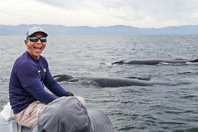 Puerto Vallarta Speedboat and Box Lunch Whale Tour - Final Thoughts