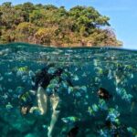 Puerto Vallarta: Tropical Fish Snorkeling and Zipline Tour - Frequently Asked Questions