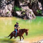 Puerto Vallarta: Tropical Forest Horseback Ride - What to Expect: Practical Details