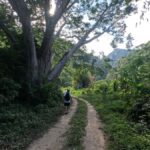 Puerto Vallarta: Waterfall Trail A Journey to the Essence of Nature - Exploring the Waterfall Trail — What to Expect