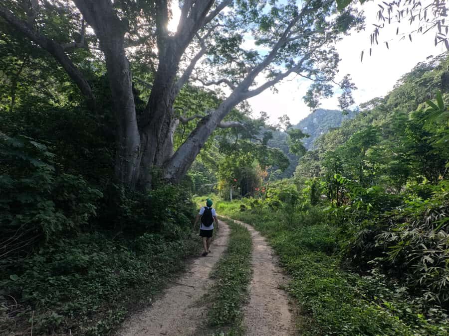 Puerto Vallarta: Waterfall Trail A Journey to the Essence of Nature - Exploring the Waterfall Trail — What to Expect