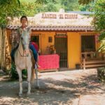 Puerto Vallarta: Wild Tour Horseback Riding Experience - Who Will Love This Tour?