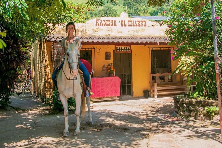 Puerto Vallarta: Wild Tour Horseback Riding Experience - Who Will Love This Tour?
