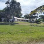 Punta Gorda: Boat tour to Cabbage Key and beaches. - Why this tour offers great value