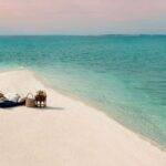 Punta Gorda: Boat tour to the beaches and sandbars. - The Value of a Personalized, Scenic Boat Tour