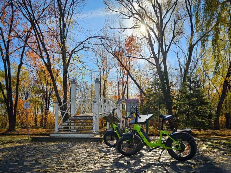 Quebec City: E-Bike Tour to Le Grand Marché - Food Scene - The Sum Up: Is This Tour Right for You?