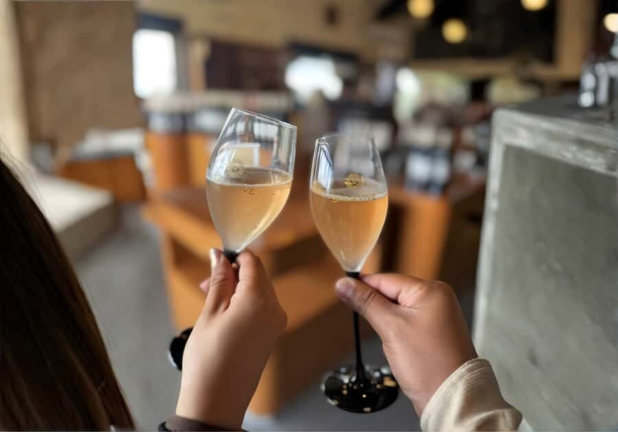 Queretaro: Cheese & Wine Tour (English) - Exploring Queretaro’s Wine and Charm in Depth