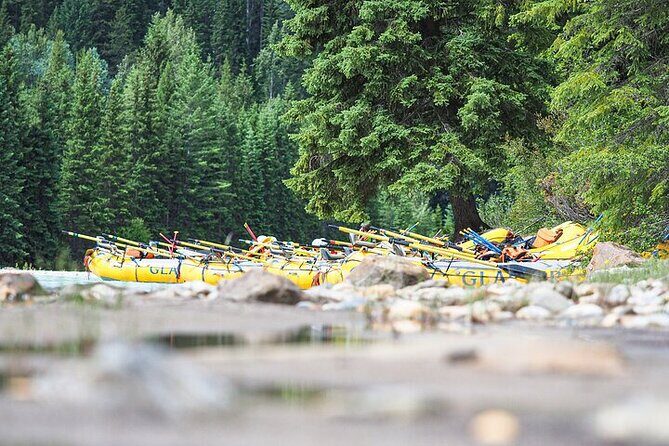 Rafting Adventure on the Kicking Horse River - Why This Tour Stands Out