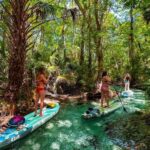 Rainbow River: Paddle Board Tour Adventure - Who Should Consider This Tour?