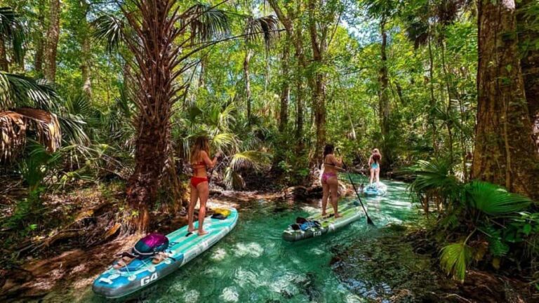 Rainbow River: Paddle Board Tour Adventure - Who Should Consider This Tour?