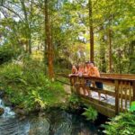 Rainbow River: Waterfall Hike Paddle Adventure - The Sum Up