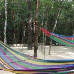 Reef Snorkel + 3 Cenotes with local food experience! - The Sum Up