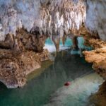 Reef Snorkel and Cenote Experience - Transportation and Logistics
