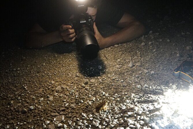 Reptile and Amphibian Night Adventure in Yucatán Jungle - Who Should Consider This Tour?