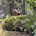 Ride with Mexican Charros: A Cowboy Adventure in Mexico City - A True Taste of Mexican Cowboy Life