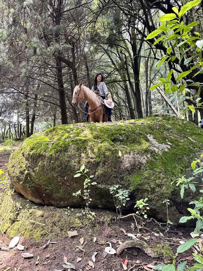 Ride with Mexican Charros: A Cowboy Adventure in Mexico City - A True Taste of Mexican Cowboy Life