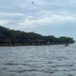 Río Lagartos 3 Islands, Mayan history and Oasis - Experience Quality and Pricing