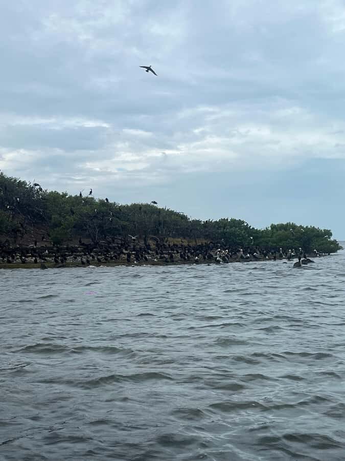 Río Lagartos 3 Islands, Mayan history and Oasis - Experience Quality and Pricing