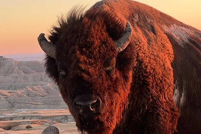 Rise Before the Roar: Badlands Sunrise Tour - A Detailed Look at the Badlands Sunrise Tour