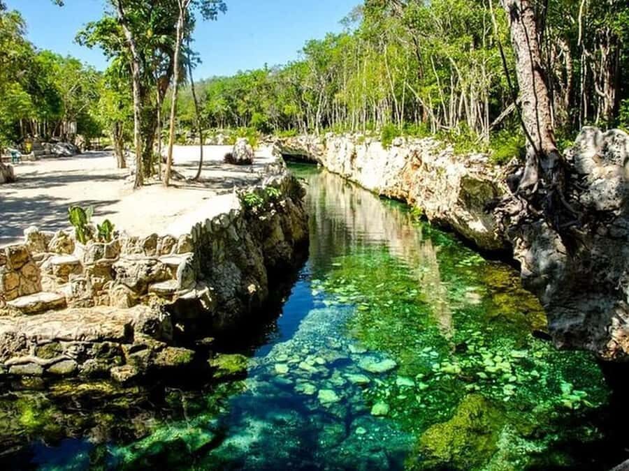 Riviera Maya: Full Day Tour to 5 Magical Cenotes - Exploring the Riviera Maya Full Day Tour to 5 Magical Cenotes
