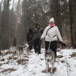Rivière-Rouge: Snowshoe with Joering Harness and Sled Dogs - What the Tour Entails