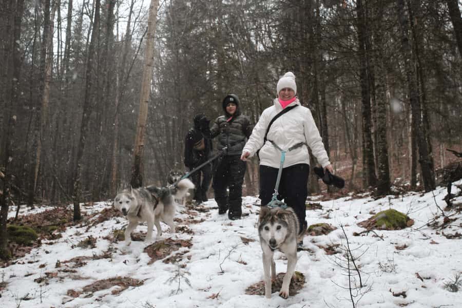 Rivière-Rouge: Snowshoe with Joering Harness and Sled Dogs - What the Tour Entails
