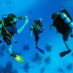 Roatan 1 Tank Shore Dive, Sloth & Monkey Park, City Tour plus Transportation - What This Tour Means for You