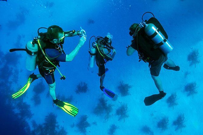 Roatan 1 Tank Shore Dive, Sloth & Monkey Park, City Tour plus Transportation - What This Tour Means for You