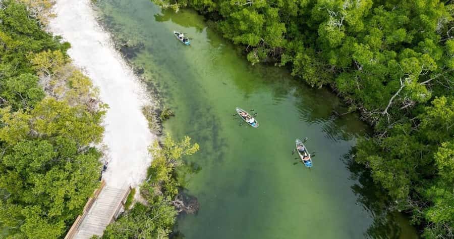 Robinson Preserve: Clear Kayak Ecotour - The Value of a Guided Eco Tour in Nature