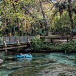 Rock Springs River Tubing & Apopka Wildlife Adventure with Pickup - Why This Tour Works