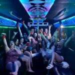 Rock the Mic Karaoke Party Bus - Who Will Love This Experience?