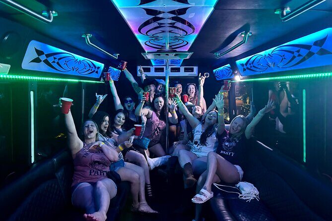 Rock the Mic Karaoke Party Bus - Who Will Love This Experience?