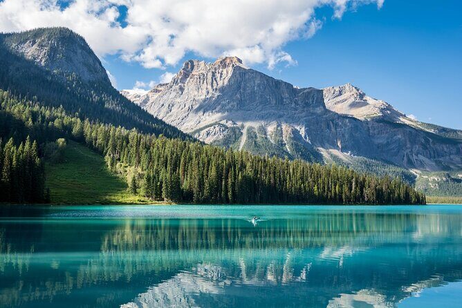 Rockies Day Tour Lake Louise Emerald Lake from Calgary - Practical Tips for Travelers