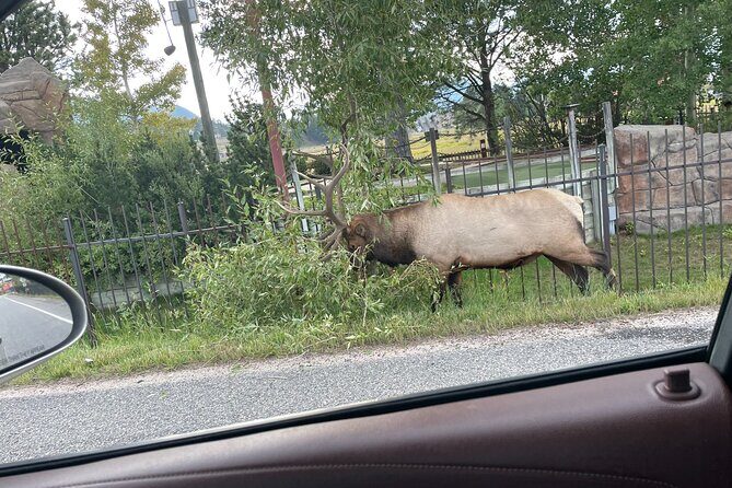 Rocky Mountain National Park Car Tour from Estes Park - The Sum Up: Who Should Consider This Tour?