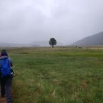 Rocky Mountain National Park: Full Day Hike with Lunch - An In-Depth Look at the Rocky Mountain National Park Full Day Hike