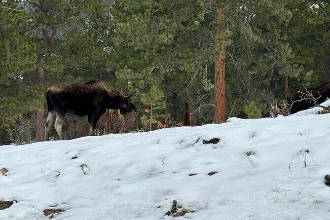 Rocky Mountain National Park Private Tour - Exploring the Rocky Mountain National Park Private Tour