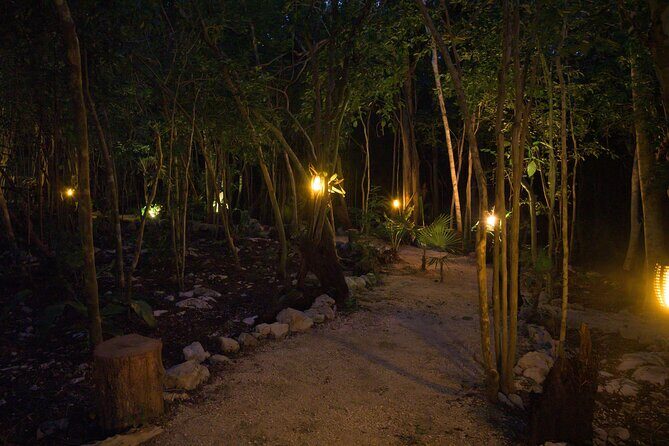 Romantic Dinner for 2 in Magical Jungle Setting - Who Is This Experience Best For?