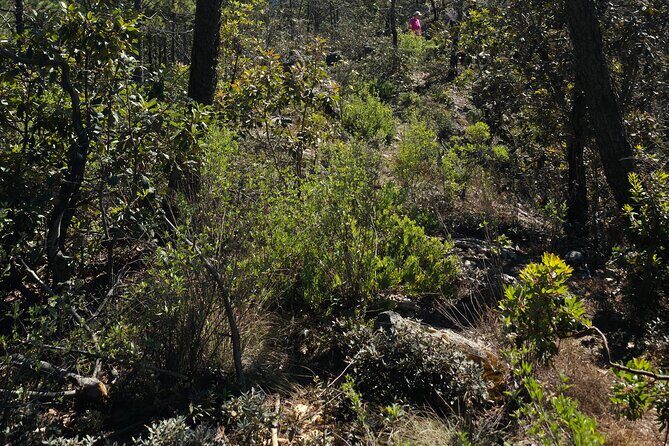 Route to the Peñas Cuatas Science Forest and Adventure - Practical Details and Considerations