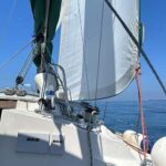 Sailboat tours at San Pedro, California, USA - What Makes This Tour Stand Out?