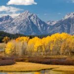 Salt Lake City: 3-Day Yellowstone & Grand Teton Essence Tour - What Makes This Tour Stand Out?
