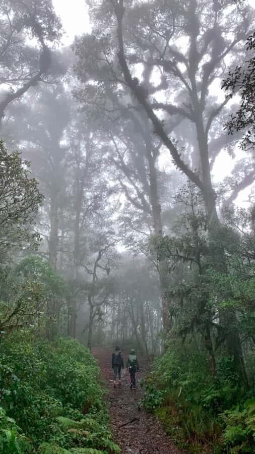 San Cristóbal de las Casas: Hiking on Huitepec Volcano - Why This Tour Offers Great Value