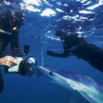 San Diego Blue Shark Diving Adventure - Final Thoughts: Is It Worth It?