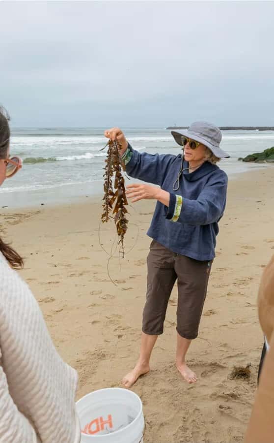 San Diego Photo Tour with a Private Photographer - An In-Depth Look at the San Diego Photo Tour