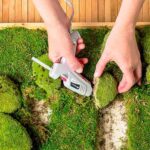 San Francisco Photo Tour with a Private Photographer - A Well-Rounded Choice for Modern Travelers