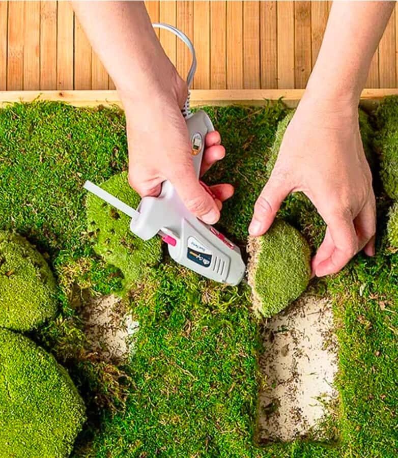 San Francisco Photo Tour with a Private Photographer - A Well-Rounded Choice for Modern Travelers