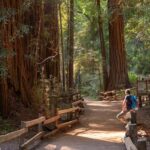 San Francisco: Redwood & Wine Country Tour with Lunch & Wine - A Deep Dive Into the Day’s Itinerary