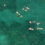 Sandbar Snorkel Combo Adventure - Why We Think This Tour Delivers Value