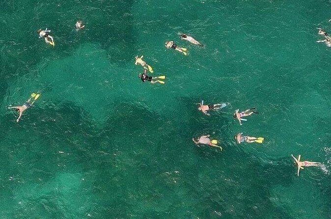 Sandbar Snorkel Combo Adventure - Why We Think This Tour Delivers Value